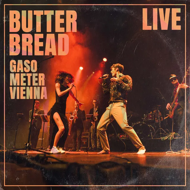 Cover of “Live at Gasometer Vienna”